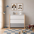 Pinette_chest_of_drawers_ls.png
