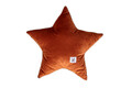 Velvet_star_cinnamon_01.jpg