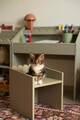 Book_nook_sage_chair_05.jpeg