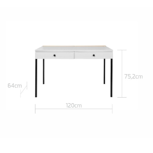 Lumi_desk_60x120_1_dimensions.png