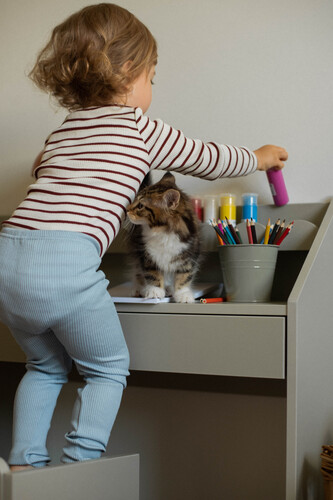 Book_nook_sage_desk_05.jpeg